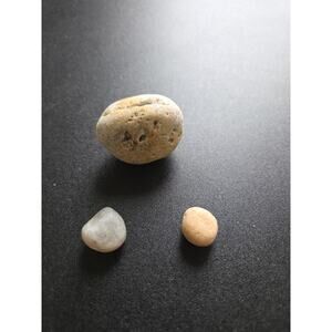 Natural River Rock Pebbles Lot of 3 Smooth Stones Craft Terrarium Decor